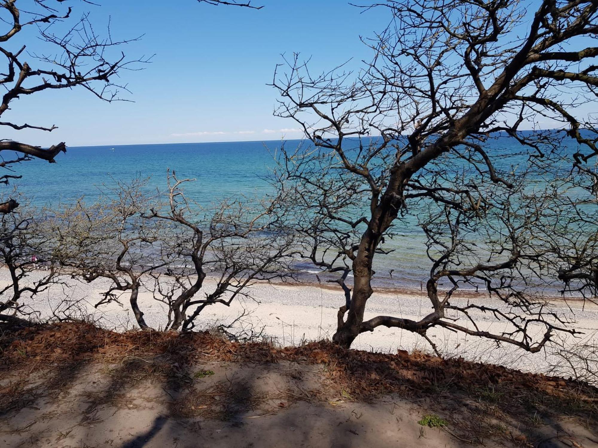 Strandnahe Finnhuette Elmenhorst/Lichtenhagen Exteriör bild